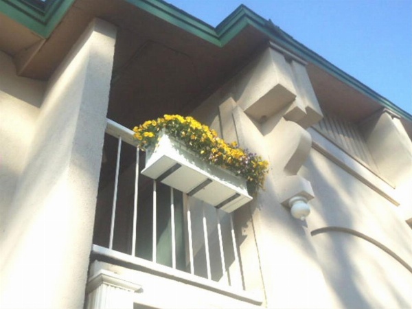 West Bank Inn image 11